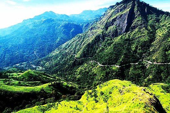 Mahamevnawa Buddhist Monastery
